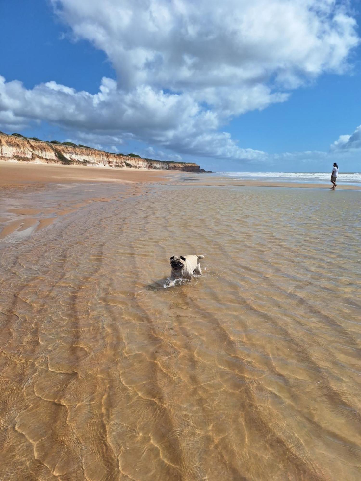 Casas Lindas No Paraiso! Costa Dourada ภายนอก รูปภาพ