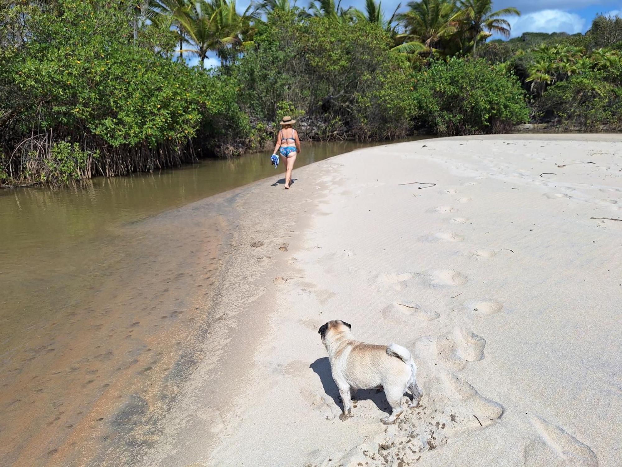 Casas Lindas No Paraiso! Costa Dourada ห้อง รูปภาพ