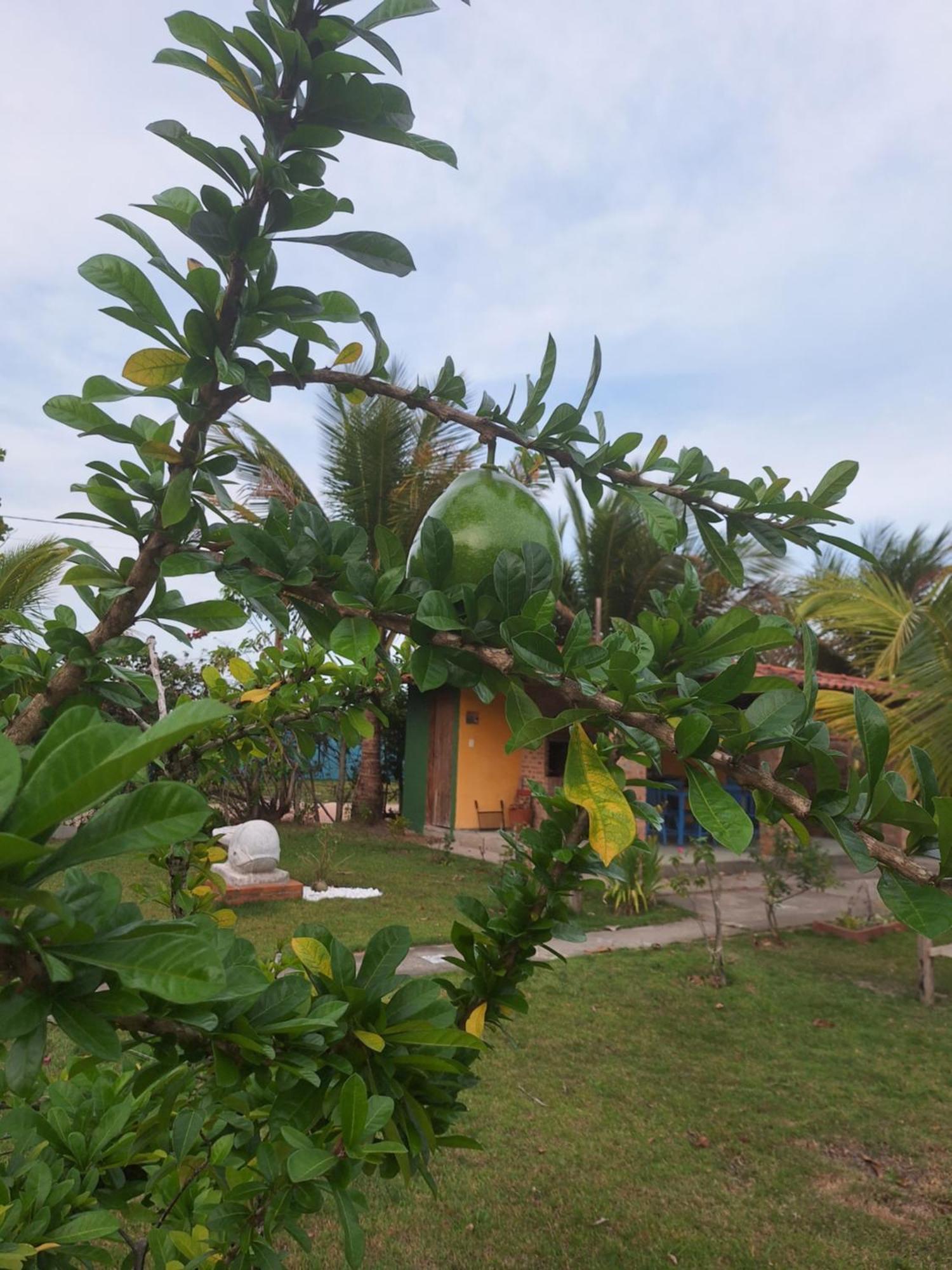 Casas Lindas No Paraiso! Costa Dourada ห้อง รูปภาพ